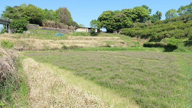 2町8反ある山林・農地