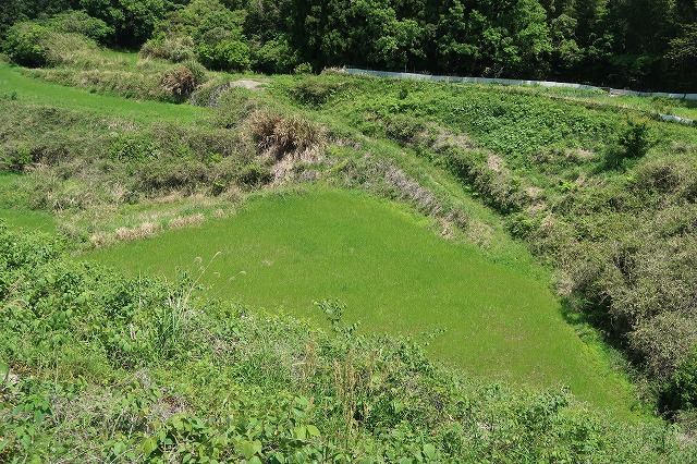 2.2町ある山林・農地。