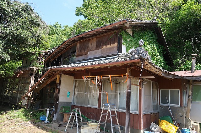 カボスがたくさん3反9畝ある土地