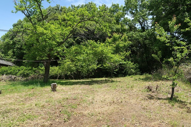 カボスがたくさん3反9畝ある土地