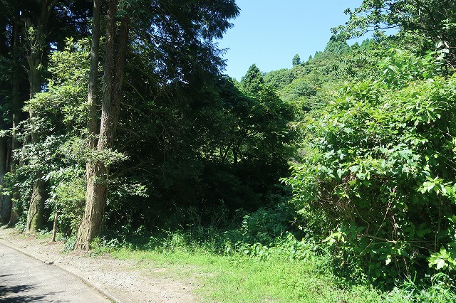 棚田で有名な内成の原野